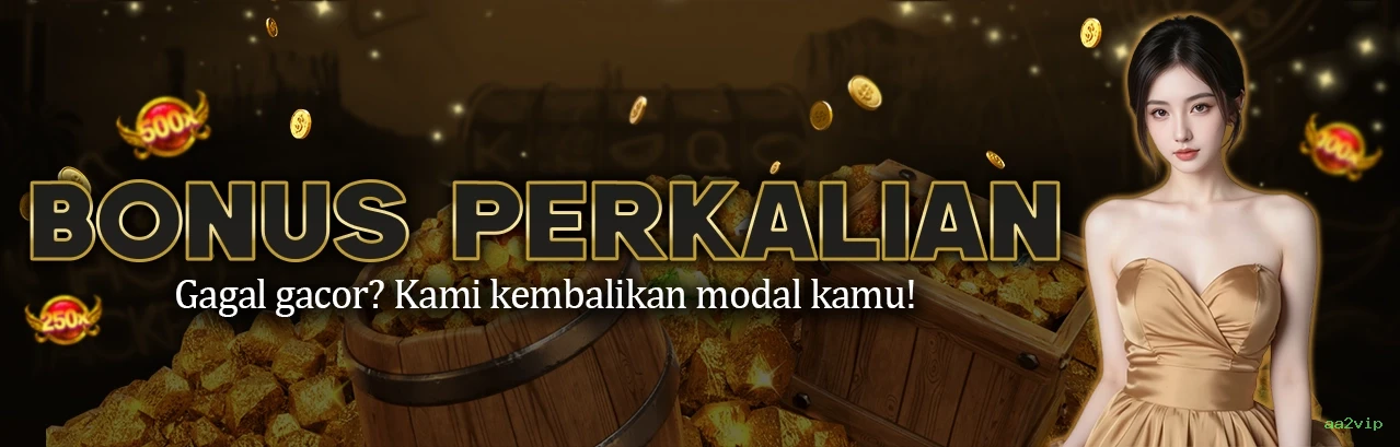 aa2vip